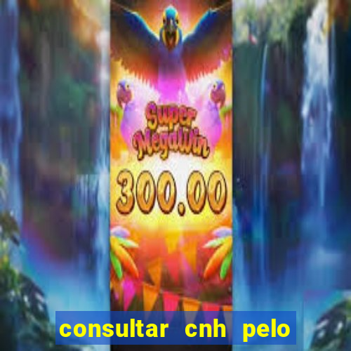 consultar cnh pelo cpf sp